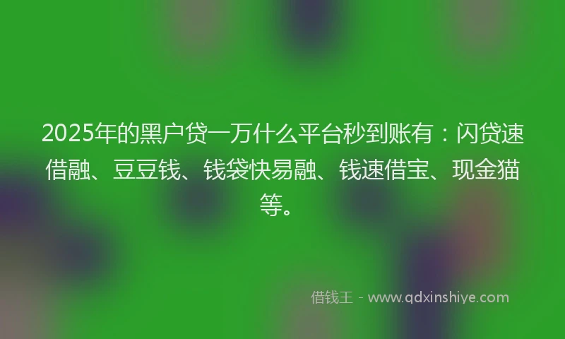 2025年的黑户贷一万什么平台秒到账有：闪贷速借融、豆豆钱、钱袋快易融、钱速借宝、现金猫等。