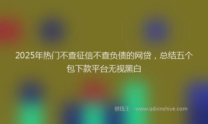 2025年热门不查征信不查负债的网贷，总结五个包下款平台无视黑白