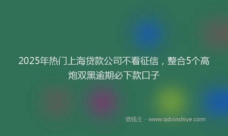 2025年热门上海贷款公司不看征信，整合5个高炮双黑逾期必下款口子