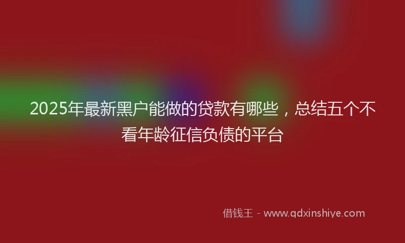 2025年最新黑户能做的贷款有哪些，总结五个不看年龄征信负债的平台