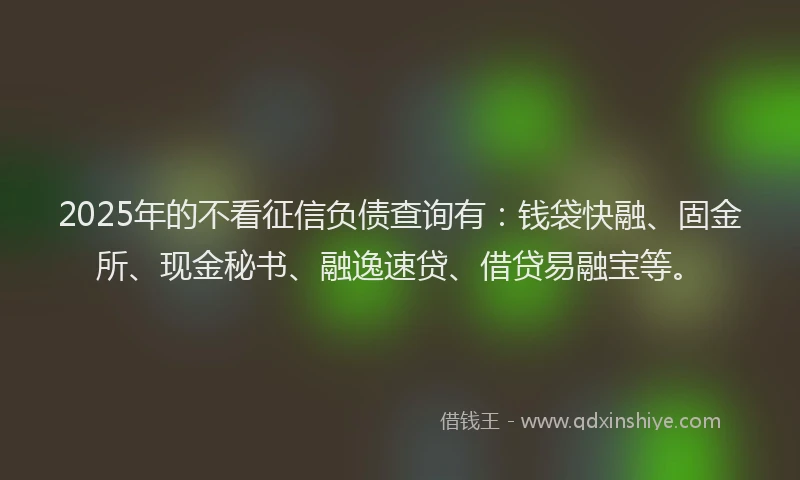 2025年的不看征信负债查询有：钱袋快融、固金所、现金秘书、融逸速贷、借贷易融宝等。