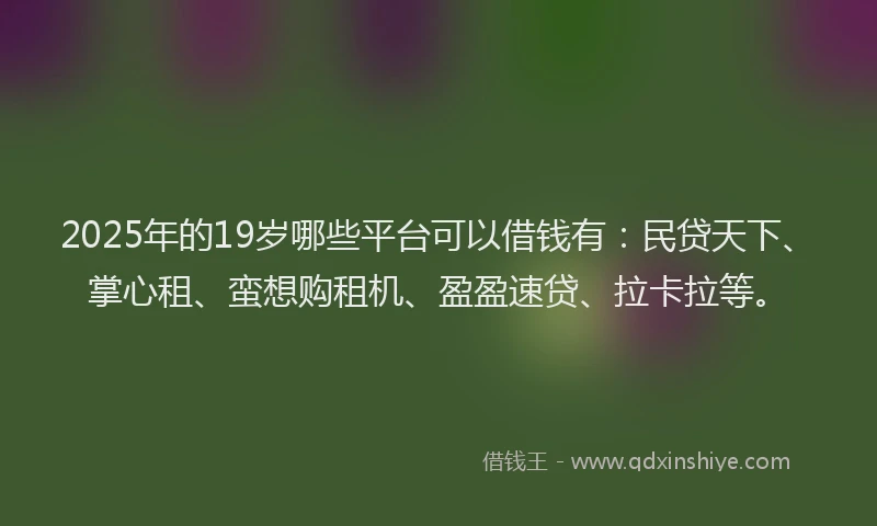 2025年的19岁哪些平台可以借钱有：民贷天下、掌心租、蛮想购租机、盈盈速贷、拉卡拉等。