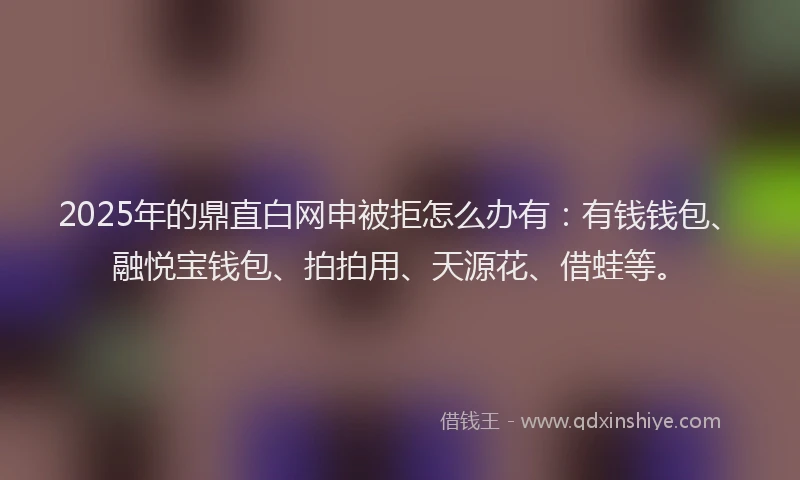 2025年的鼎直白网申被拒怎么办有：有钱钱包、融悦宝钱包、拍拍用、天源花、借蛙等。