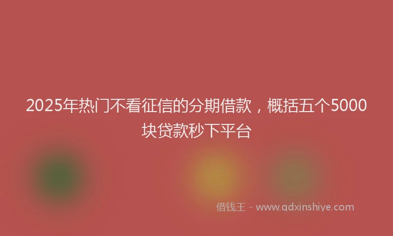 2025年热门不看征信的分期借款，概括五个5000块贷款秒下平台