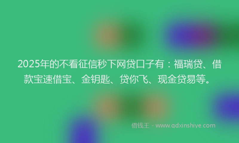 2025年的不看征信秒下网贷口子有：福瑞贷、借款宝速借宝、金钥匙、贷你飞、现金贷易等。