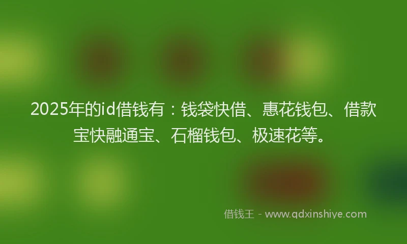 2025年的id借钱有：钱袋快借、惠花钱包、借款宝快融通宝、石榴钱包、极速花等。