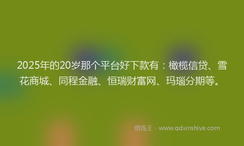 2025年的20岁那个平台好下款有：橄榄信贷、雪花商城、同程金融、恒瑞财富网、玛瑙分期等。