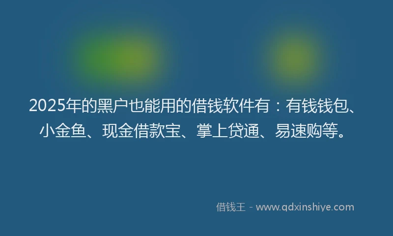 2025年的黑户也能用的借钱软件有：有钱钱包、小金鱼、现金借款宝、掌上贷通、易速购等。