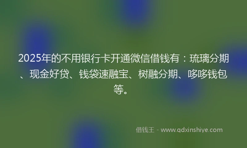 2025年的不用银行卡开通微信借钱有：琉璃分期、现金好贷、钱袋速融宝、树融分期、哆哆钱包等。