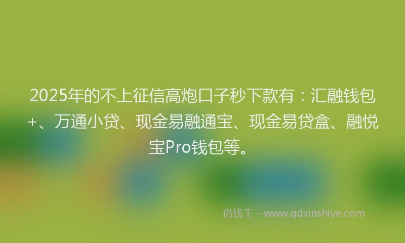 2025年的不上征信高炮口子秒下款有：汇融钱包+、万通小贷、现金易融通宝、现金易贷盒、融悦宝Pro钱包等。