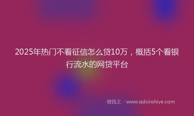 2025年热门不看征信怎么贷10万，概括5个看银行流水的网贷平台