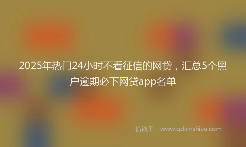 2025年热门24小时不看征信的网贷，汇总5个黑户逾期必下网贷app名单