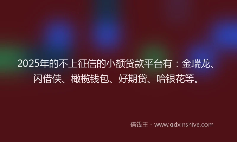 2025年的不上征信的小额贷款平台有：金瑞龙、闪借侠、橄榄钱包、好期贷、哈银花等。