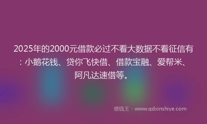 2025年的2000元借款必过不看大数据不看征信有：小鹅花钱、贷你飞快借、借款宝融、爱帮米、阿凡达速借等。