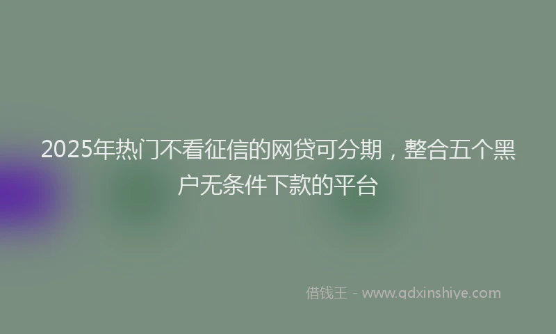 2025年热门不看征信的网贷可分期,整合五个黑户无条件下款的平台