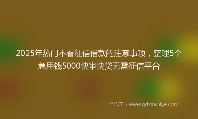 2025年热门不看征信借款的注意事项，整理5个急用钱5000快审快贷无需征信平台