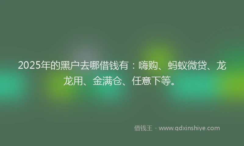 2025年的黑户去哪借钱有：嗨购、蚂蚁微贷、龙龙用、金满仓、任意下等。