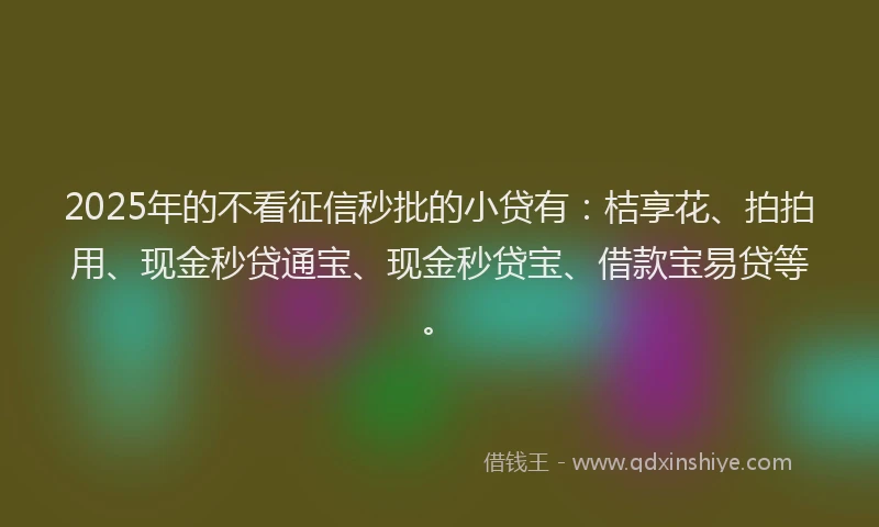 2025年的不看征信秒批的小贷有：桔享花、拍拍用、现金秒贷通宝、现金秒贷宝、借款宝易贷等。