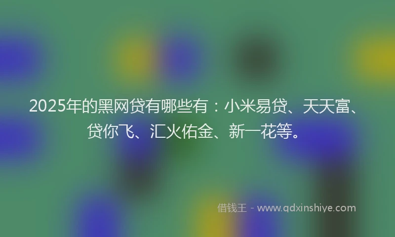 2025年的黑网贷有哪些有：小米易贷、天天富、贷你飞、汇火佑金、新一花等。