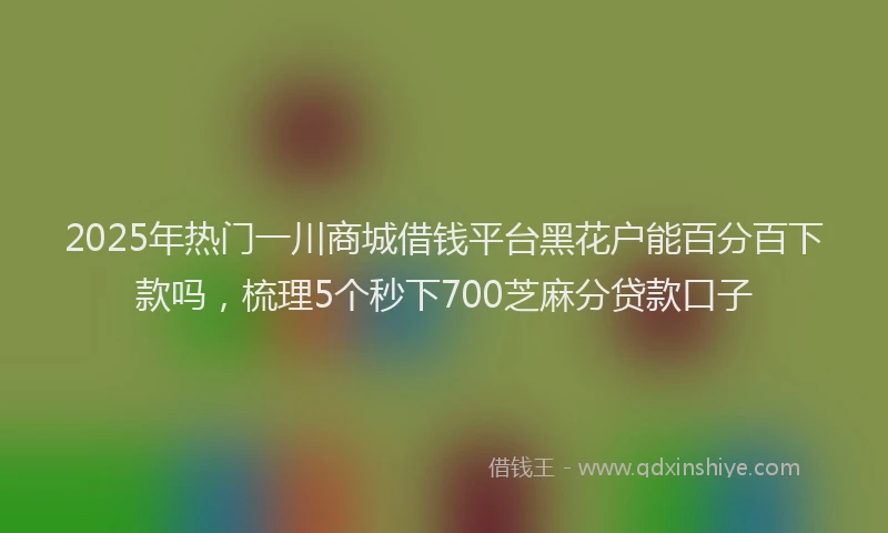 2025年热门一川商城借钱平台黑花户能百分百下款吗,梳理5个秒下700芝麻分贷款口子