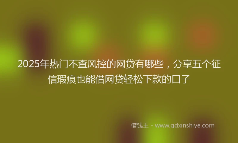 2025年热门不查风控的网贷有哪些，分享五个征信瑕疵也能借网贷轻松下款的口子