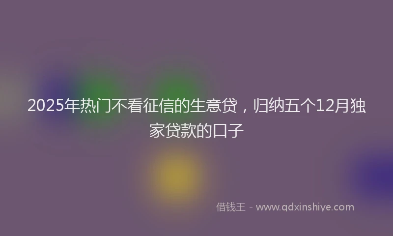 2025年热门不看征信的生意贷，归纳五个12月独家贷款的口子