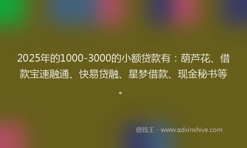 2025年的1000-3000的小额贷款有：葫芦花、借款宝速融通、快易贷融、星梦借款、现金秘书等。