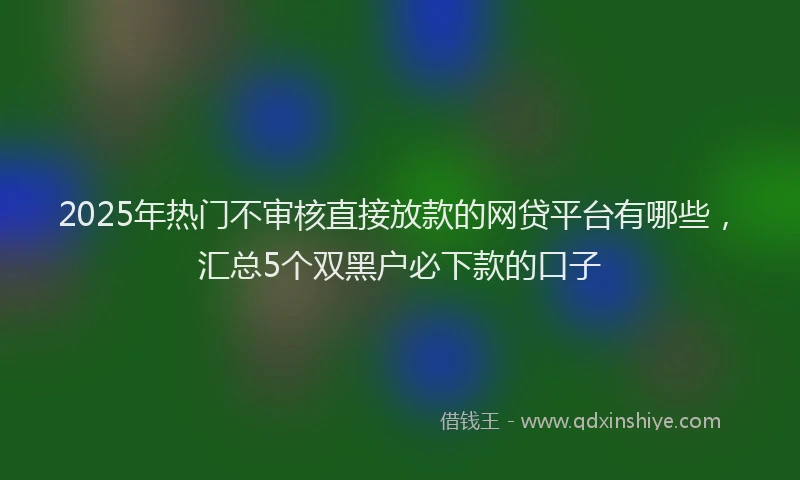 2025年热门不审核直接放款的网贷平台有哪些，汇总5个双黑户必下款的口子