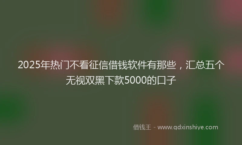 2025年热门不看征信借钱软件有那些，汇总五个无视双黑下款5000的口子