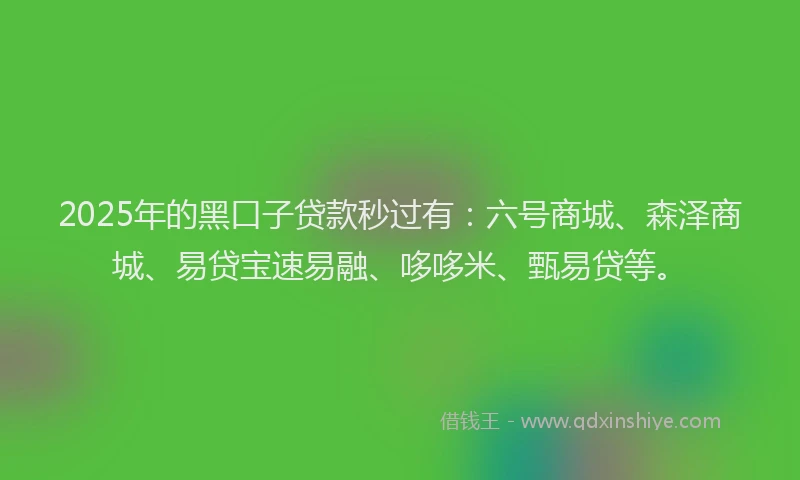 2025年的黑口子贷款秒过有：六号商城、森泽商城、易贷宝速易融、哆哆米、甄易贷等。