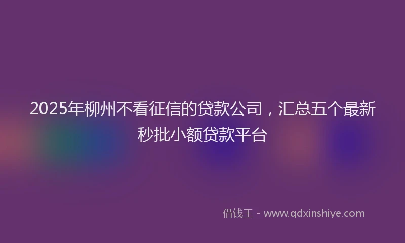 2025年柳州不看征信的贷款公司，汇总五个最新秒批小额贷款平台
