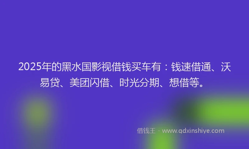 2025年的黑水国影视借钱买车有：钱速借通、沃易贷、美团闪借、时光分期、想借等。