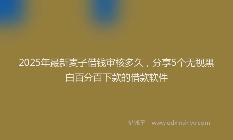2025年最新麦子借钱审核多久，分享5个无视黑白百分百下款的借款软件