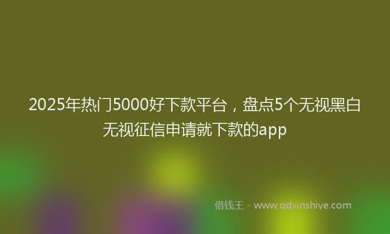 2025年热门5000好下款平台，盘点5个无视黑白无视征信申请就下款的app