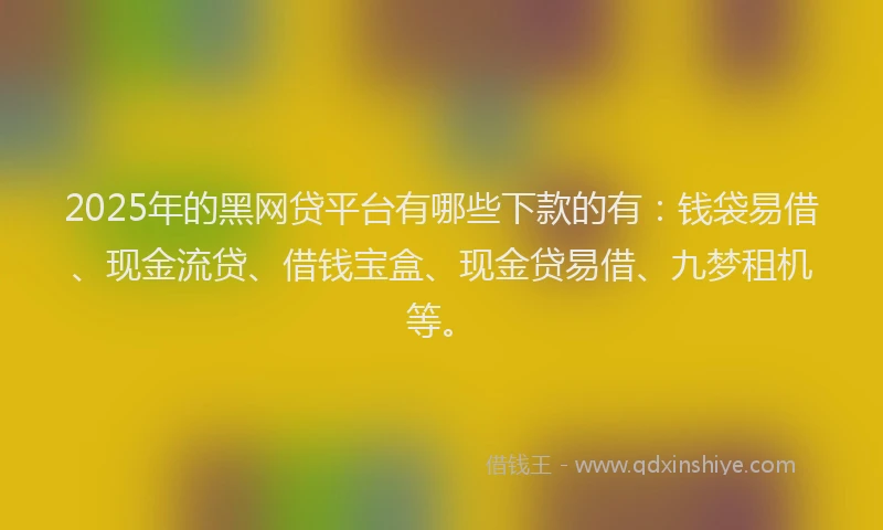 2025年的黑网贷平台有哪些下款的有：钱袋易借、现金流贷、借钱宝盒、现金贷易借、九梦租机等。