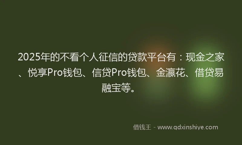2025年的不看个人征信的贷款平台有：现金之家、悦享Pro钱包、信贷Pro钱包、金瀛花、借贷易融宝等。