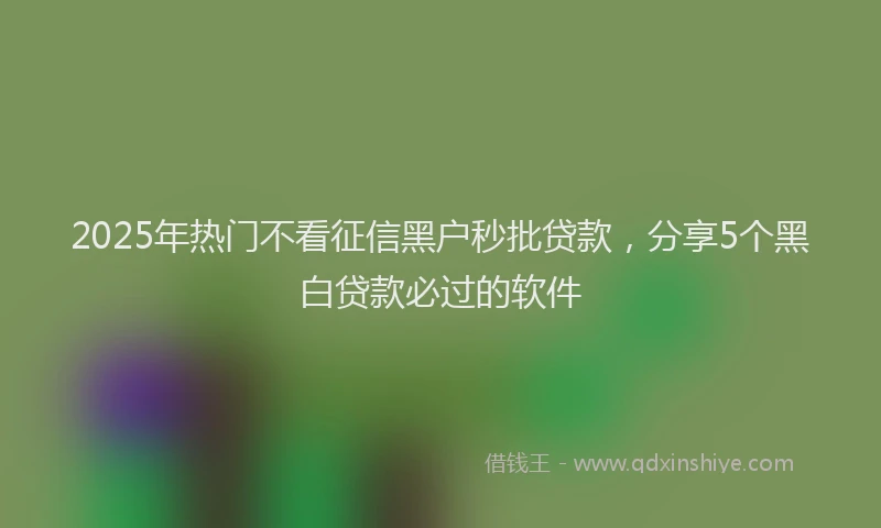2025年热门不看征信黑户秒批贷款，分享5个黑白贷款必过的软件