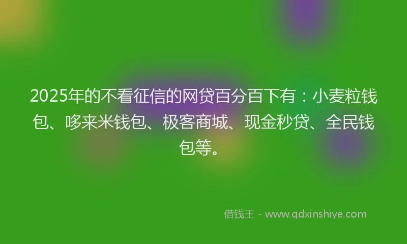 2025年的不看征信的网贷百分百下有：小麦粒钱包、哆来米钱包、极客商城、现金秒贷、全民钱包等。