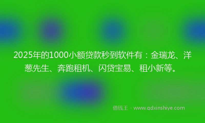 2025年的1000小额贷款秒到软件有：金瑞龙、洋葱先生、奔跑租机、闪贷宝易、租小新等。