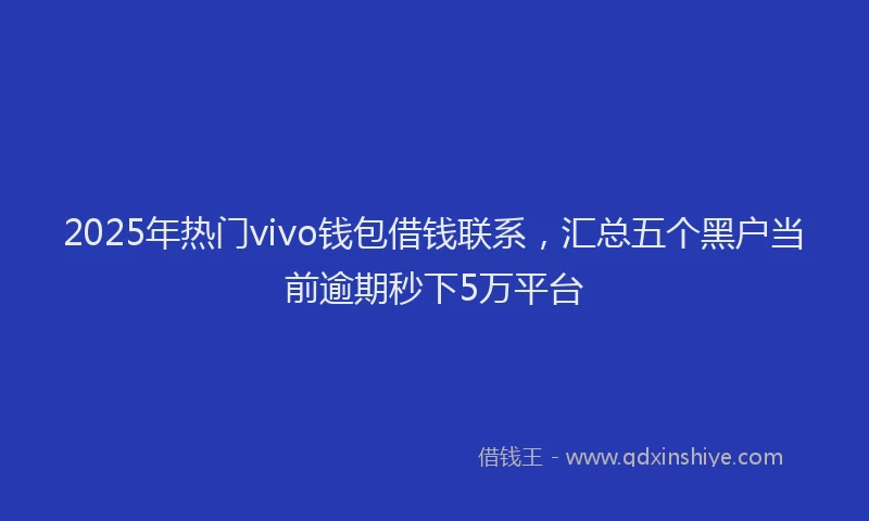 2025年热门vivo钱包借钱联系，汇总五个黑户当前逾期秒下5万平台