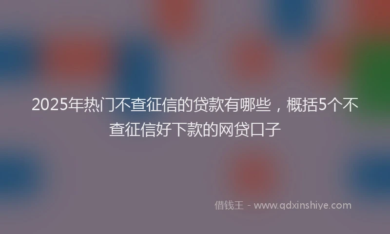 2025年热门不查征信的贷款有哪些，概括5个不查征信好下款的网贷口子