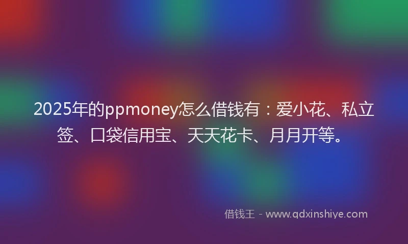 2025年的ppmoney怎么借钱有：爱小花、私立签、口袋信用宝、天天花卡、月月开等。