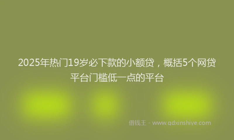 2025年热门19岁必下款的小额贷，概括5个网贷平台门槛低一点的平台