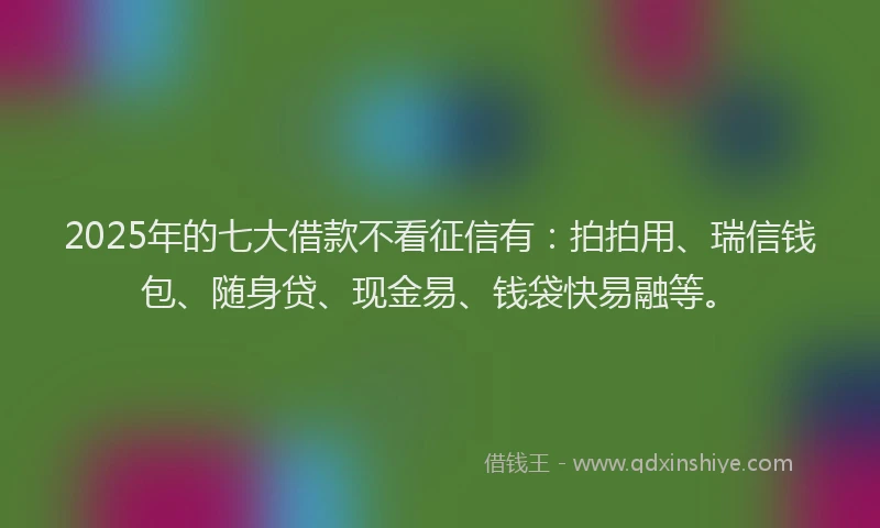 2025年的七大借款不看征信有：拍拍用、瑞信钱包、随身贷、现金易、钱袋快易融等。