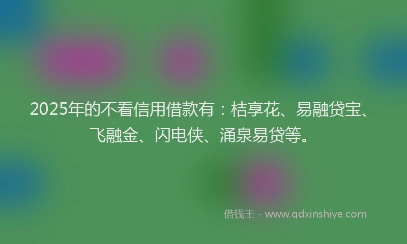 2025年的不看信用借款有：桔享花、易融贷宝、飞融金、闪电侠、涌泉易贷等。