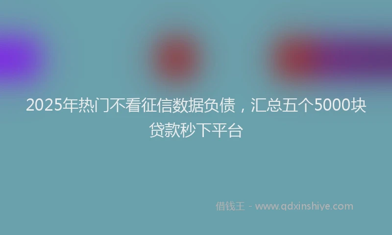2025年热门不看征信数据负债，汇总五个5000块贷款秒下平台