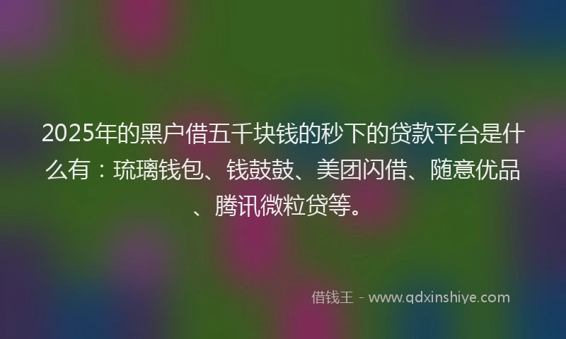 2025年的黑户借五千块钱的秒下的贷款平台是什么有：琉璃钱包、钱鼓鼓、美团闪借、随意优品、腾讯微粒贷等。