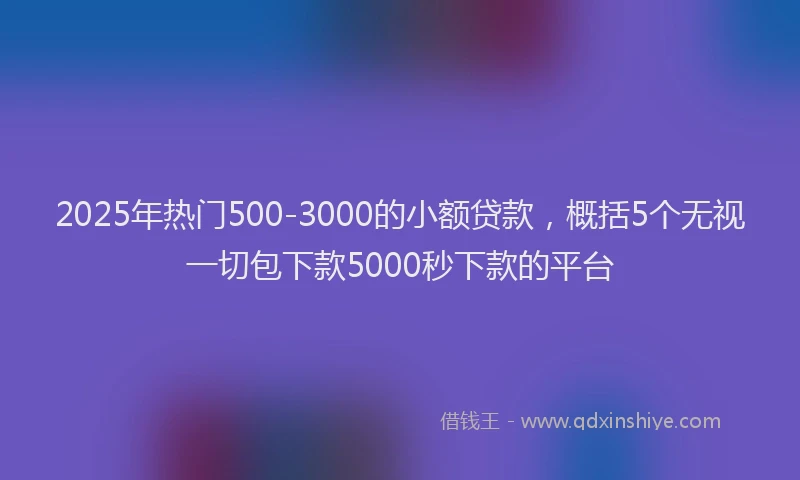 2025年热门500-3000的小额贷款，概括5个无视一切包下款5000秒下款的平台