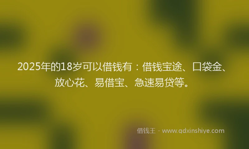 2025年的18岁可以借钱有：借钱宝途、口袋金、放心花、易借宝、急速易贷等。