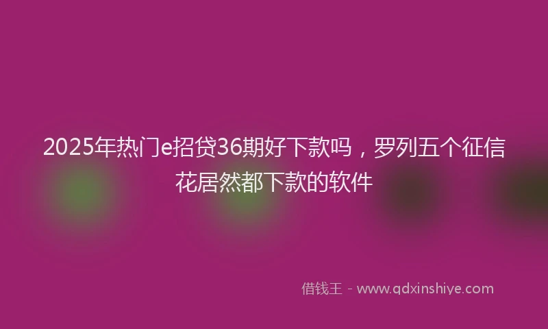 2025年热门e招贷36期好下款吗，罗列五个征信花居然都下款的软件
